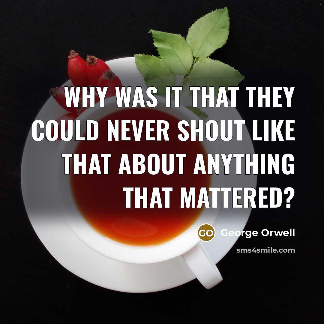 “Why was it that they could never shout like that…” quote by George Orwell