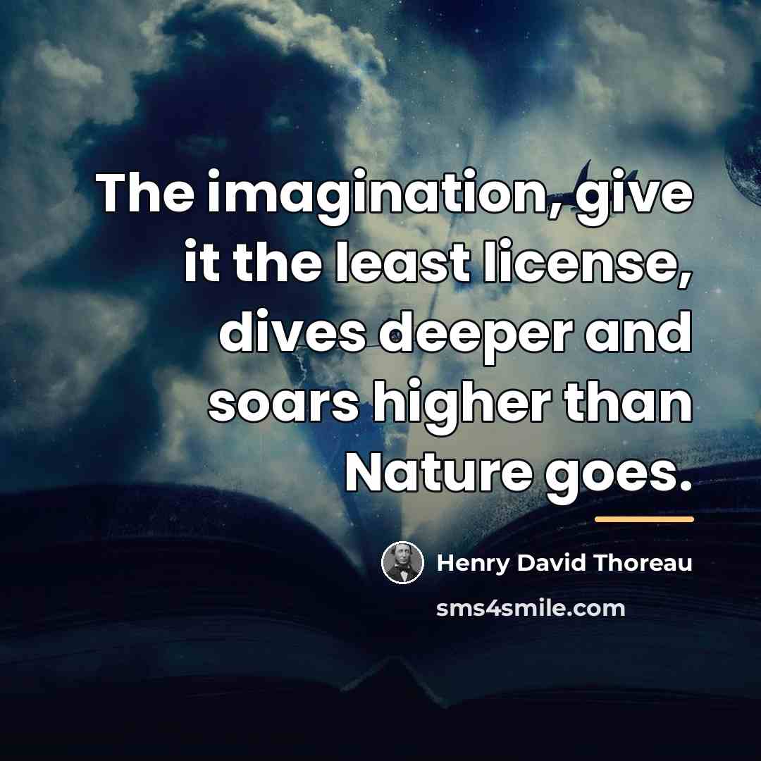 “The imagination, give it the least license, dives deeper and…” quote by Henry David Thoreau