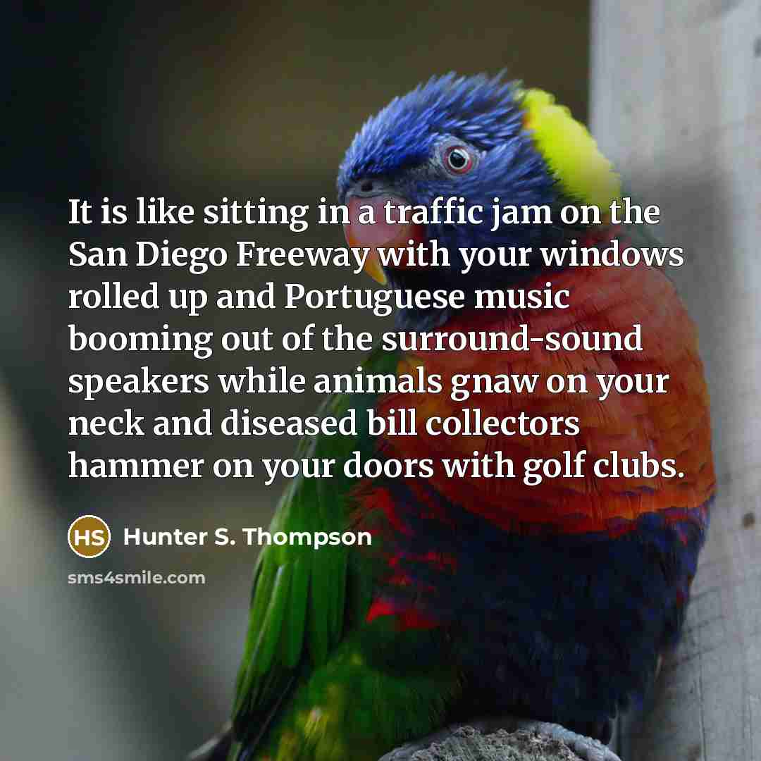 “It is like sitting in a traffic jam on the…” quote by Hunter S. Thompson
