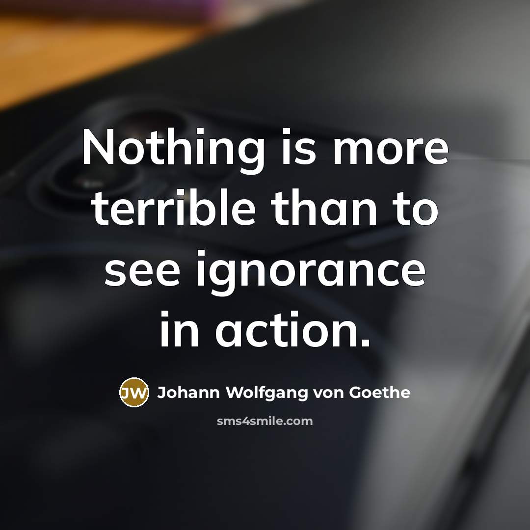 “Nothing is more terrible than to see ignorance in action.…” quote by Johann Wolfgang von Goethe