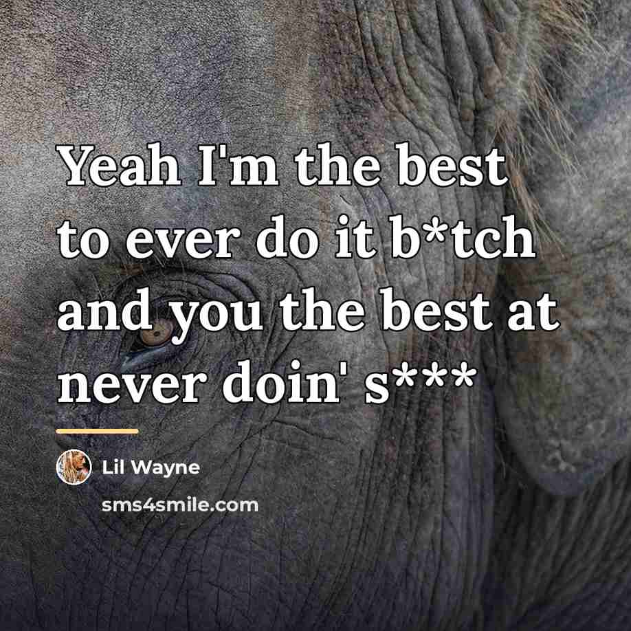 “Yeah I'm the best to ever do it b*tch and…” quote by Lil Wayne