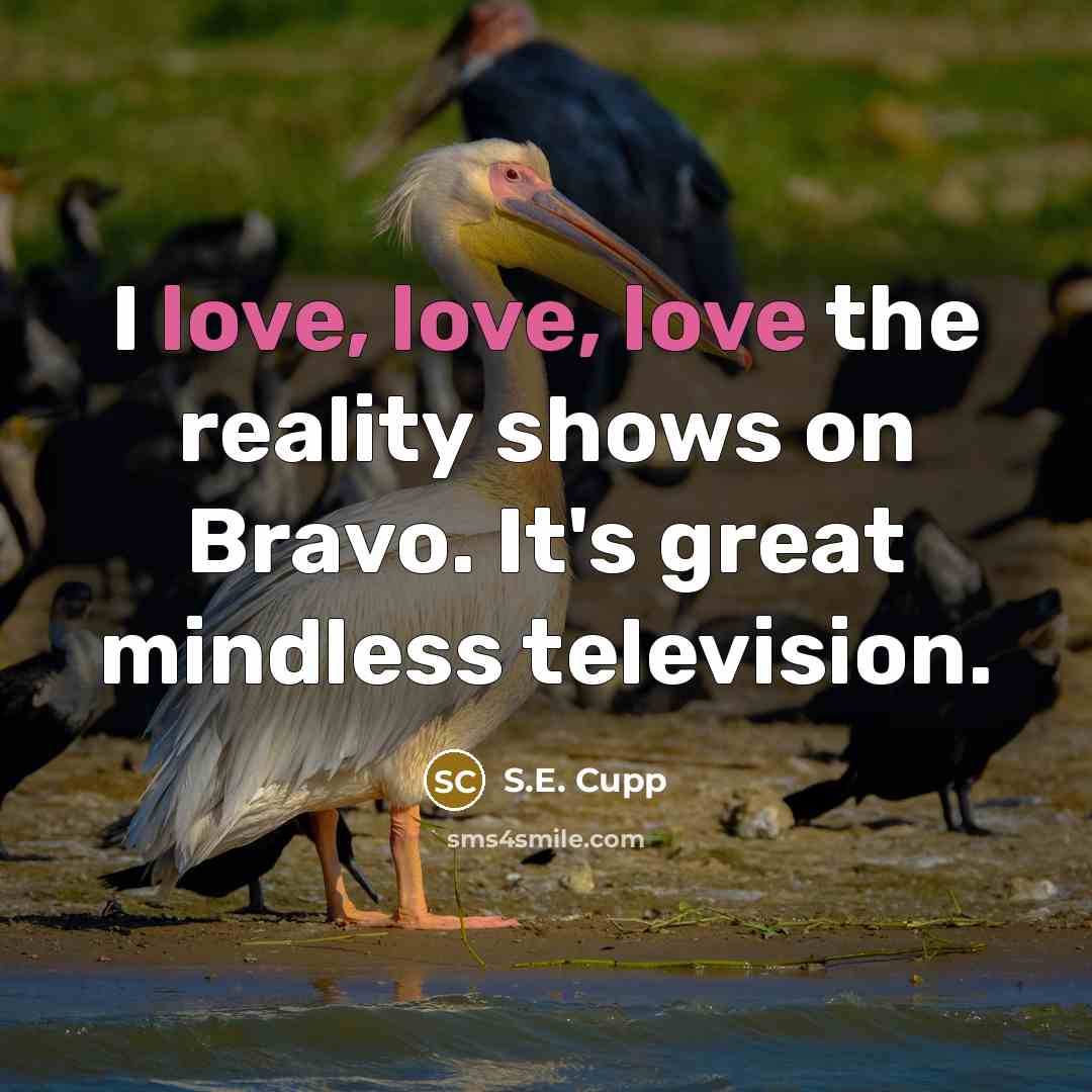 “I love, love, love the reality shows on Bravo. It's…” quote by S.E. Cupp