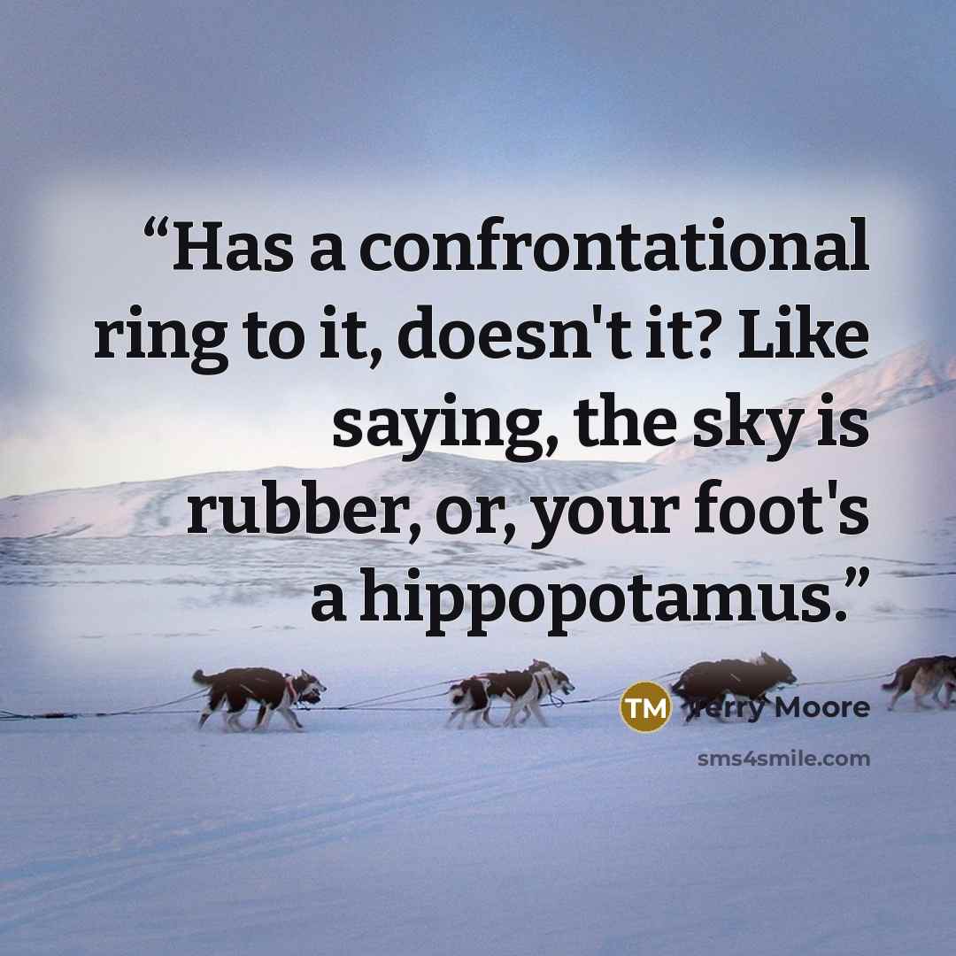 “Has a confrontational ring to it, doesn't it? Like saying, the sky is rubber, or, your foot's a hippopotamus.” quote by Terry Moore