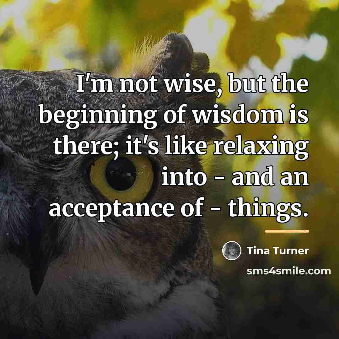 “I'm not wise, but the beginning of wisdom is there;…” quote by Tina Turner