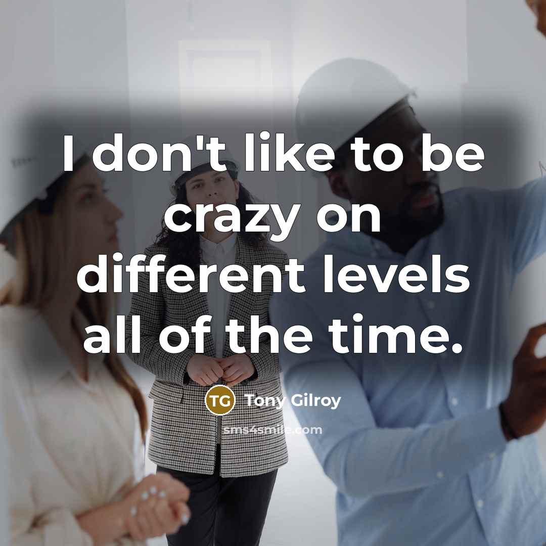 “I don't like to be crazy on different levels all…” quote by Tony Gilroy