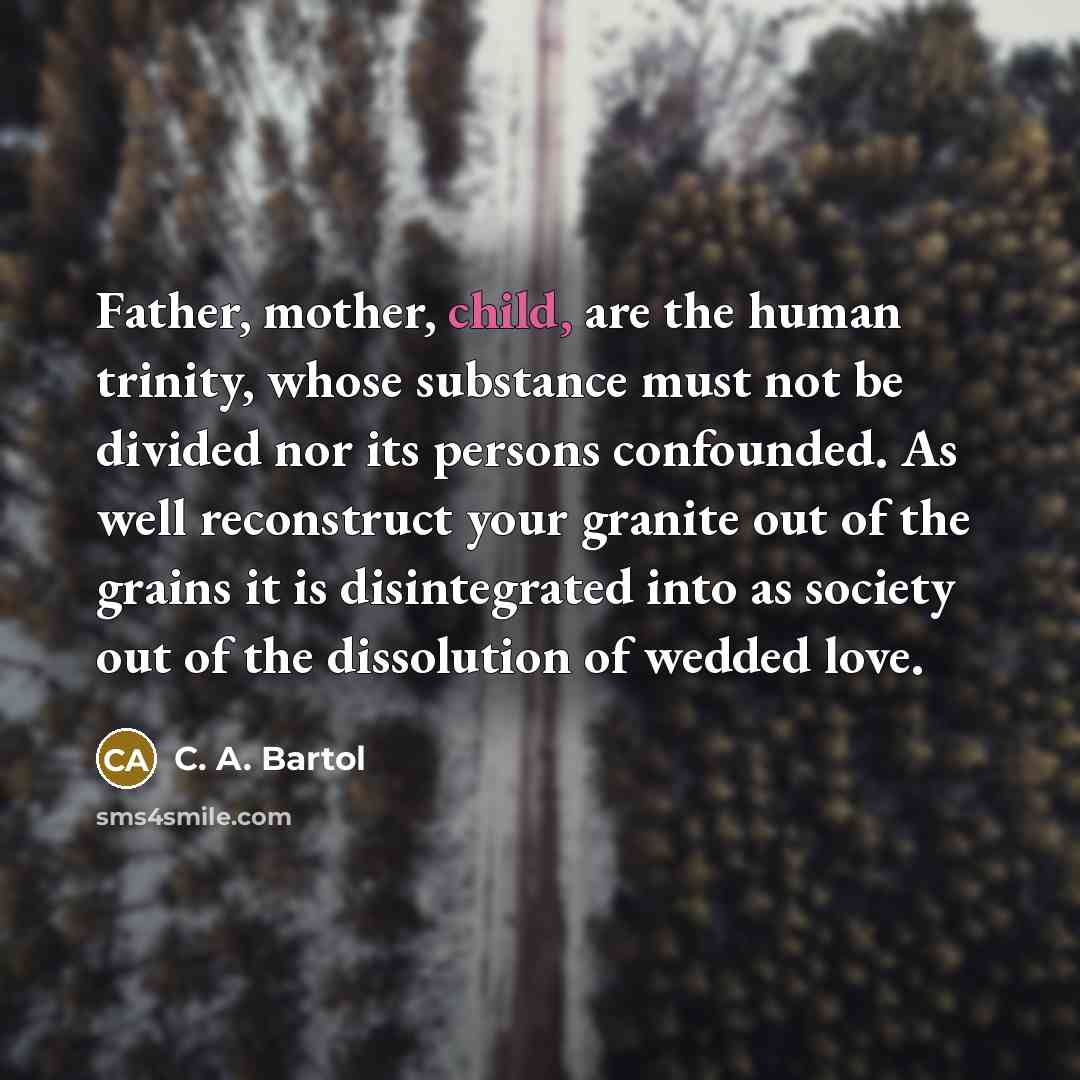 “Father, mother, child, are the human trinity, whose substance must…” quote by C. A. Bartol