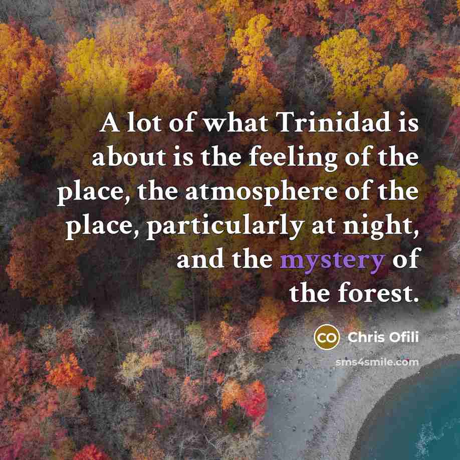 “A lot of what Trinidad is about is the feeling…” quote by Chris Ofili