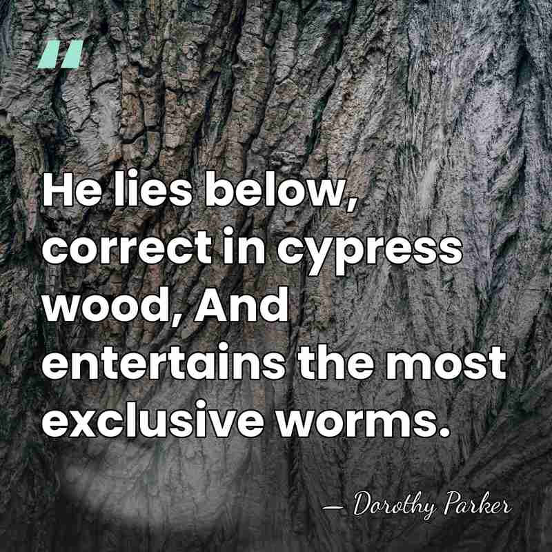 He lies below, correct in cypress wood, And entertains the most exclusive&hellip; - Dorothy Parker