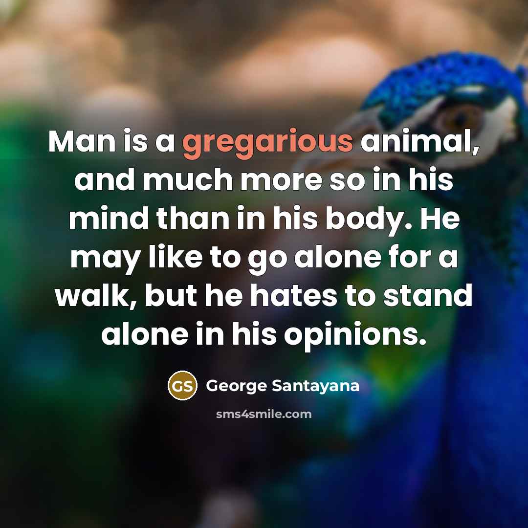 “Man is a gregarious animal, and much more so in…” quote by George Santayana