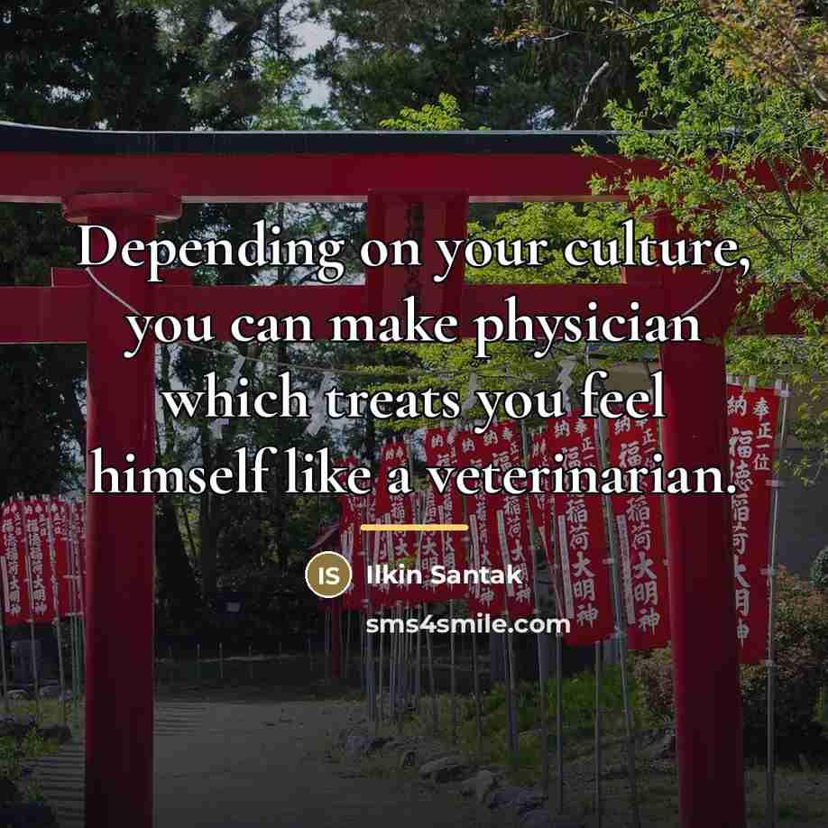 “Depending on your culture, you can make physician which treats…” quote by Ilkin Santak