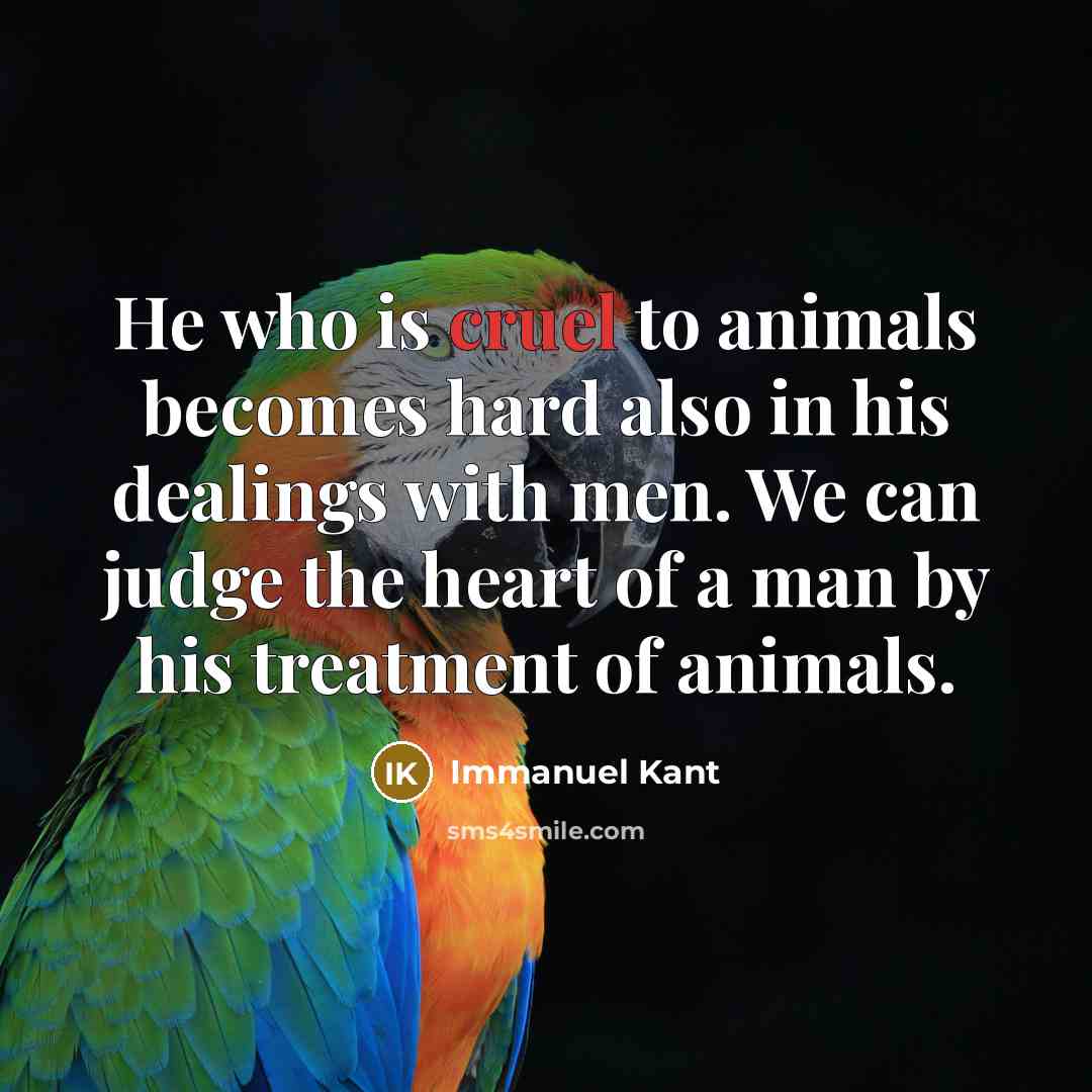 “He who is cruel to animals becomes hard also in…” quote by Immanuel Kant