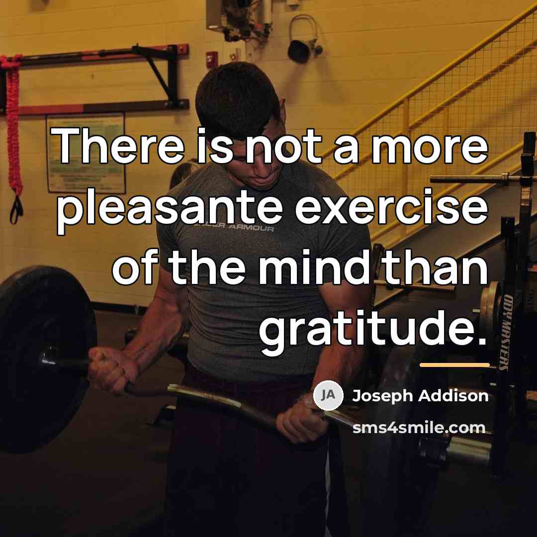 “There is not a more pleasante exercise of the mind…” quote by Joseph Addison
