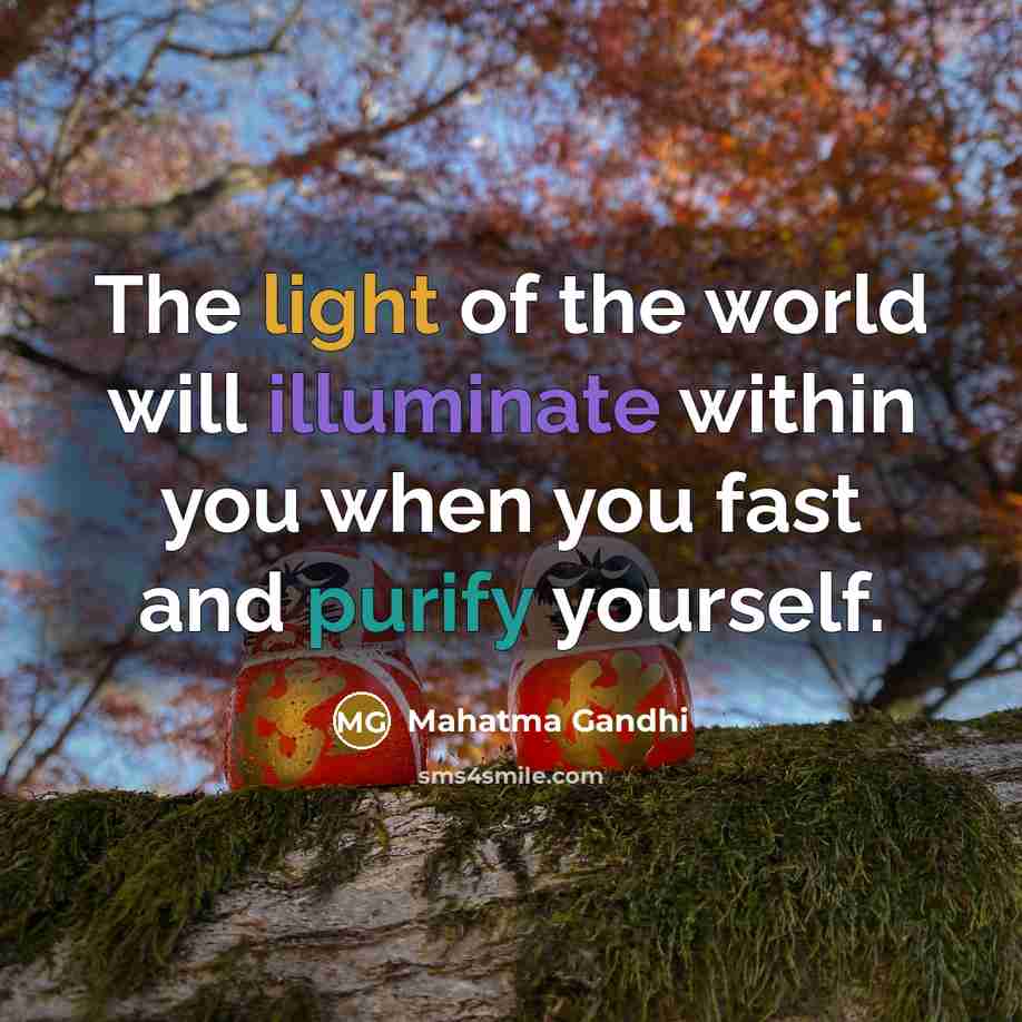 “The light of the world will illuminate within you when…” quote by Mahatma Gandhi