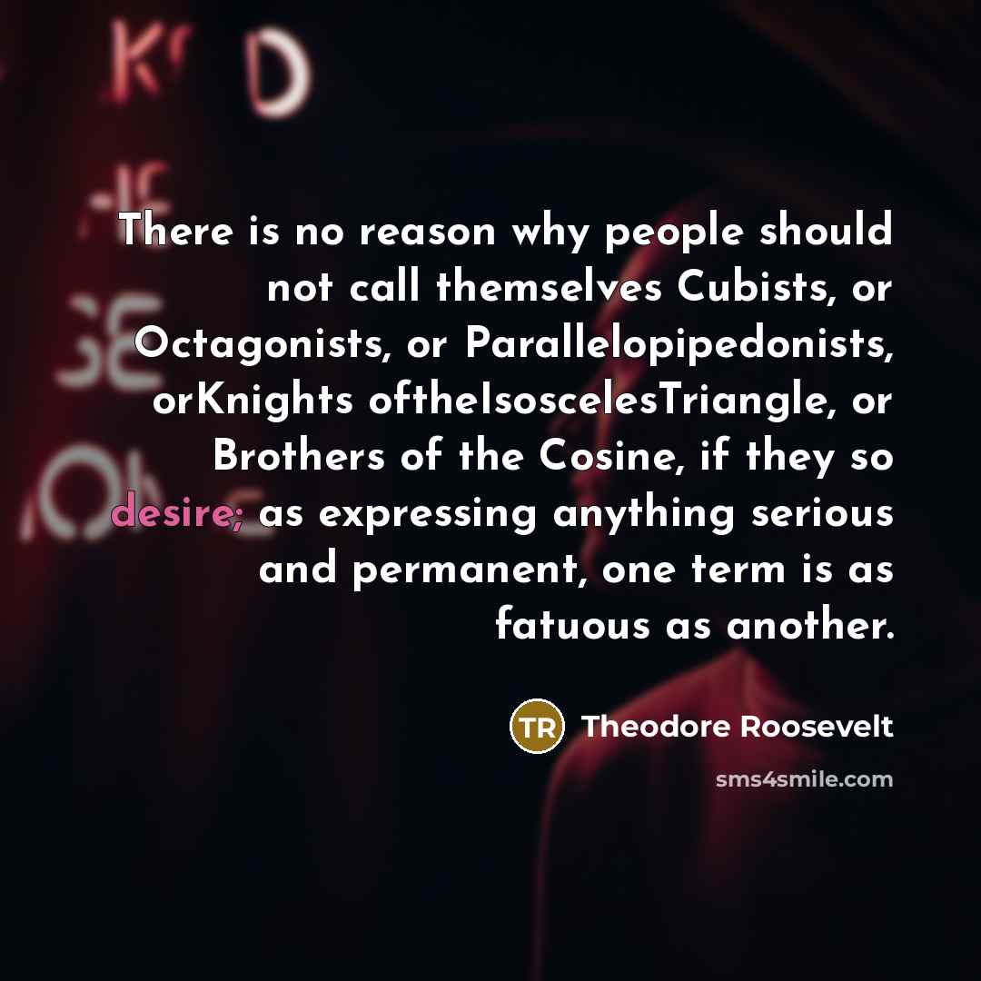 “There is no reason why people should not call themselves…” quote by Theodore Roosevelt