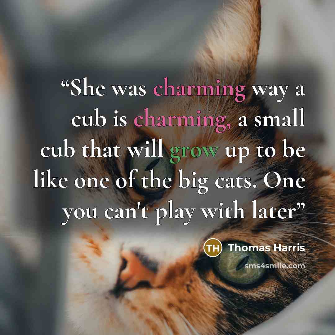 “She was charming way a cub is charming, a small cub that will grow up to be like one of the big cats. One you can't play with later” quote by Thomas Harris
