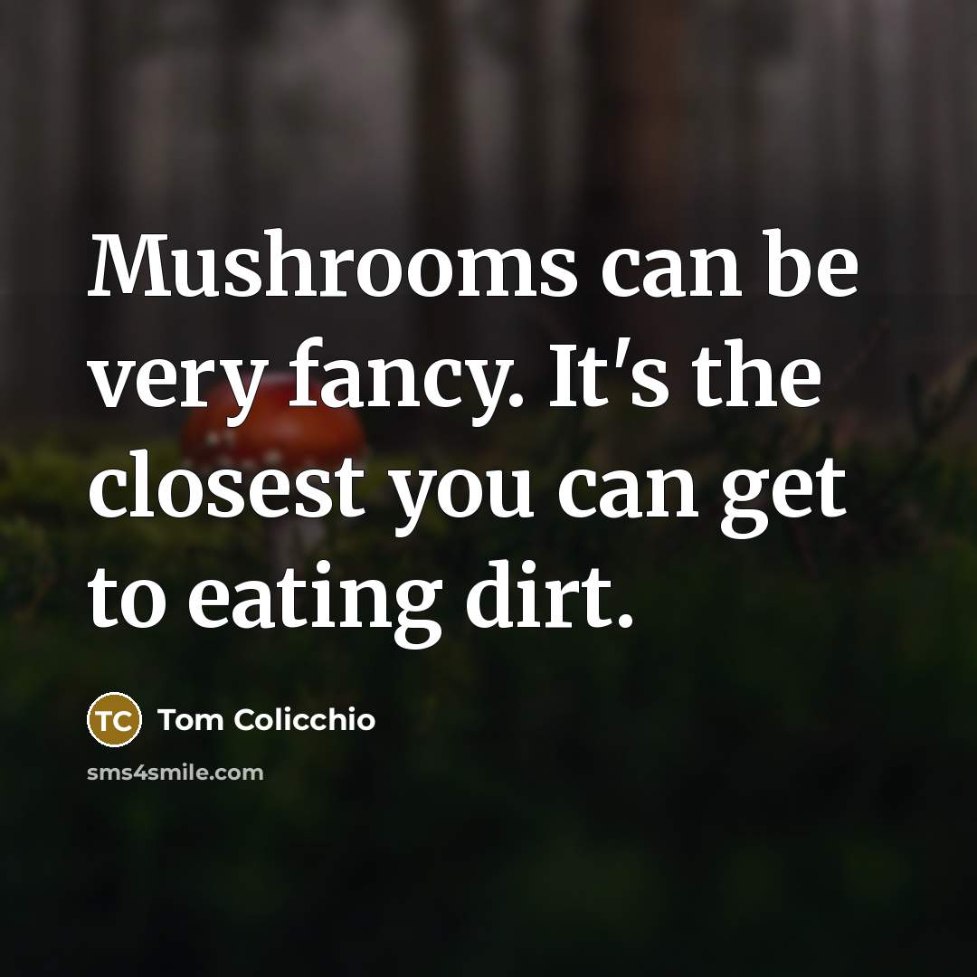 “Mushrooms can be very fancy. It's the closest you can…” quote by Tom Colicchio
