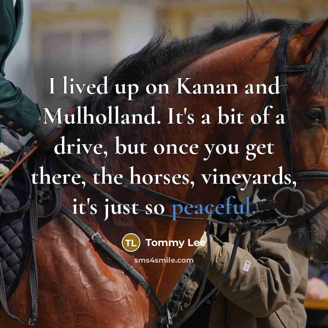 “I lived up on Kanan and Mulholland. It's a bit…” quote by Tommy Lee