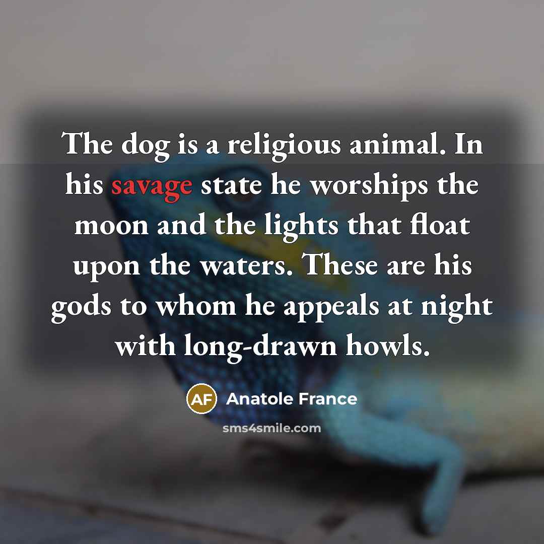 “The dog is a religious animal. In his savage state…” quote by Anatole France