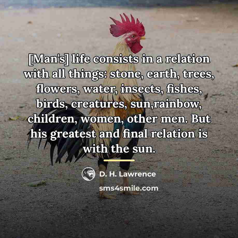 “[Man's] life consists in a relation with all things: stone,…” quote by D. H. Lawrence