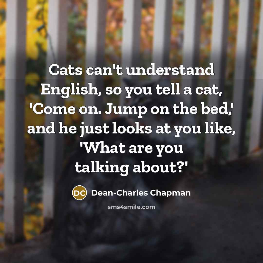 “Cats can't understand English, so you tell a cat, 'Come…” quote by Dean-Charles Chapman