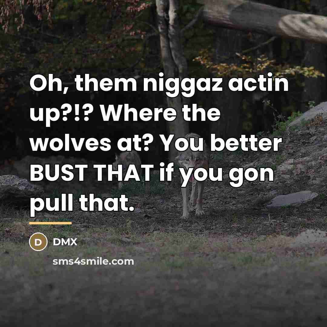 “Oh, them niggaz actin up?!? Where the wolves at? You…” quote by Dmx