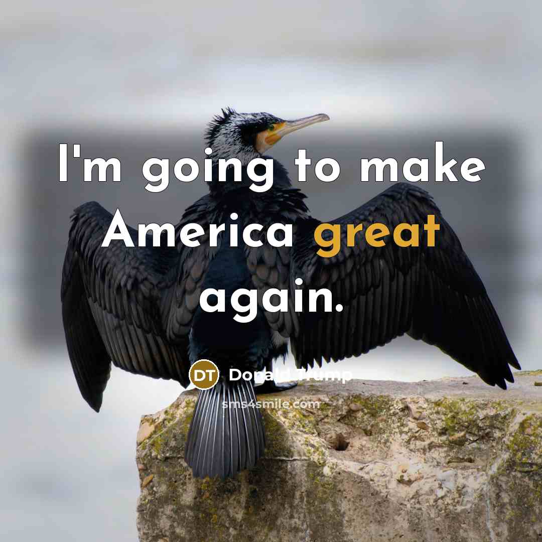 “I'm going to make America great again.…” quote by Donald Trump