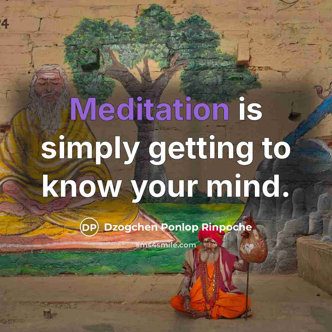 “Meditation is simply getting to know your mind.…” quote by Dzogchen Ponlop Rinpoche