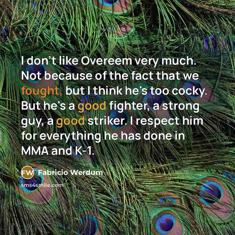 “I don't like Overeem very much. Not because of the…” quote by Fabricio Werdum