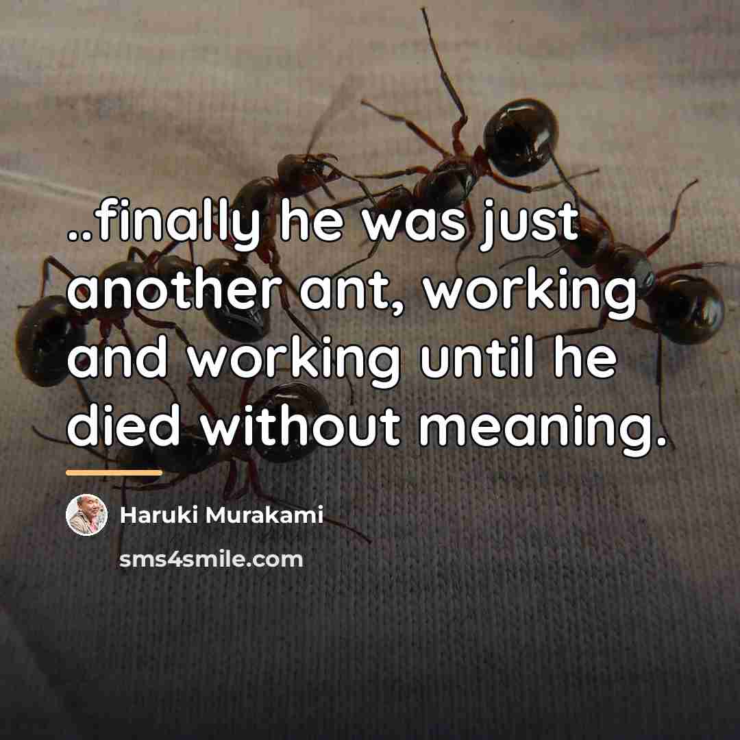 “..finally he was just another ant, working and working until…” quote by Haruki Murakami