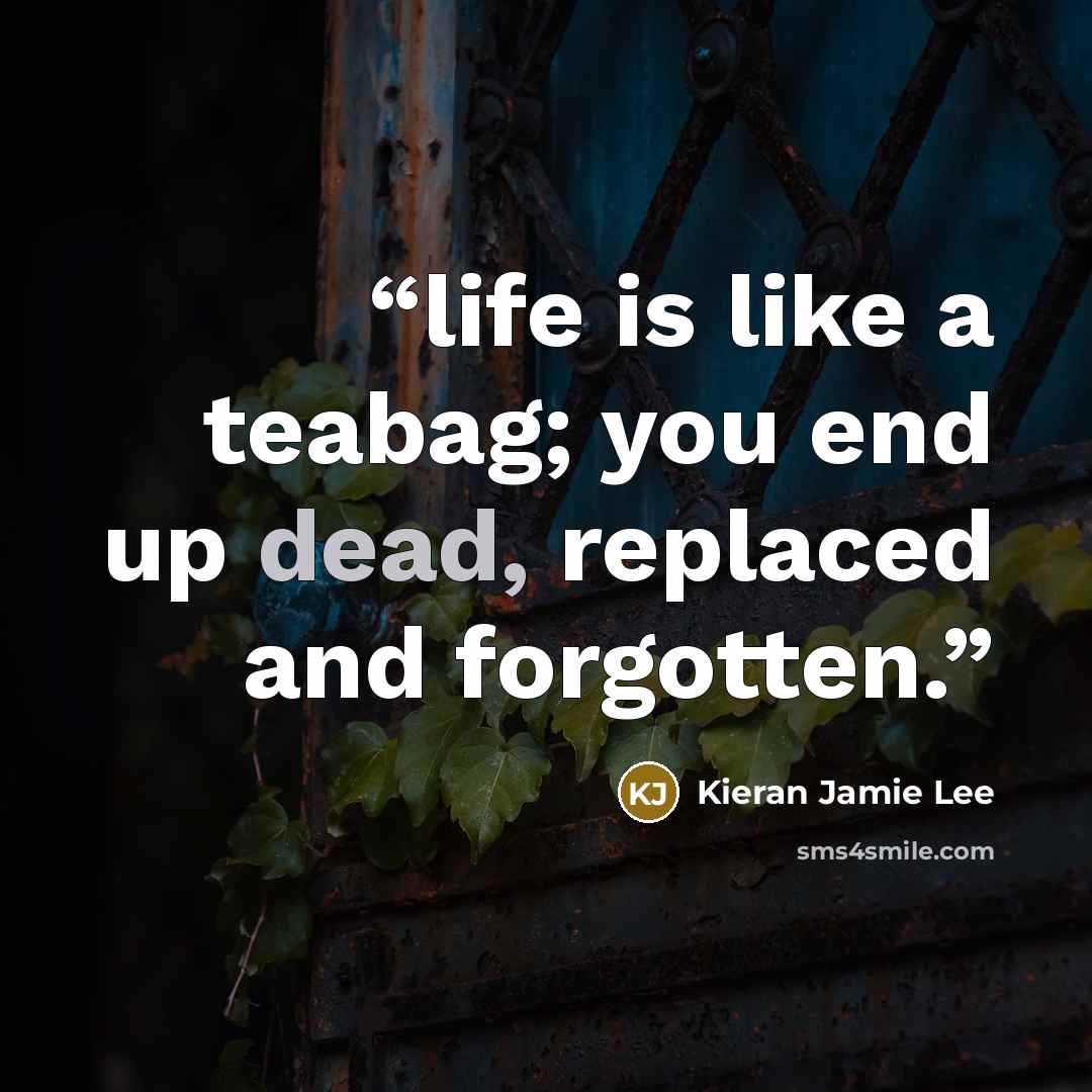 “life is like a teabag; you end up dead, replaced and forgotten.” quote by Kieran Jamie Lee