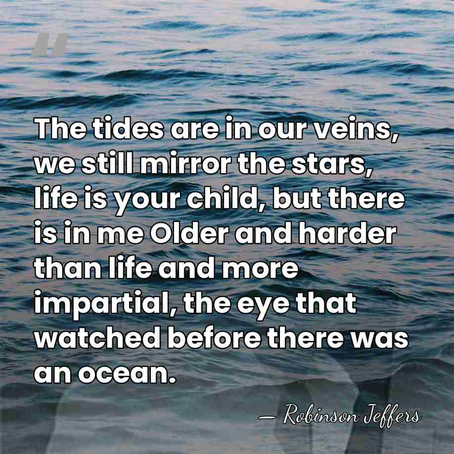 The tides are in our veins, we still mirror the stars, life&hellip; - Robinson Jeffers