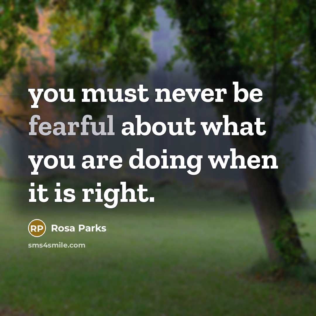 “you must never be fearful about what you are doing…” quote by Rosa Parks