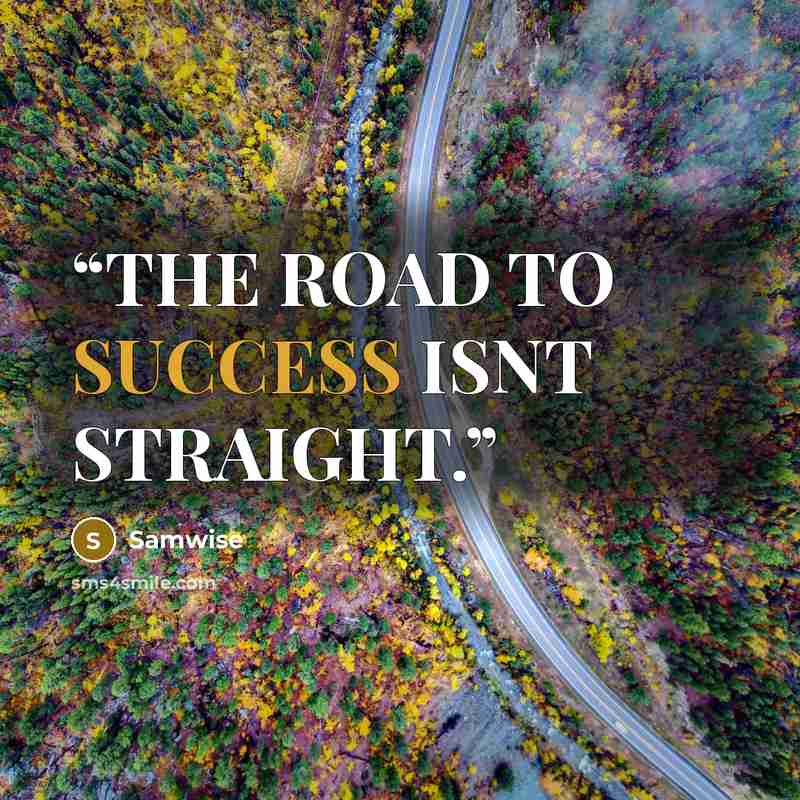 “THE ROAD TO SUCCESS ISNT STRAIGHT.” quote by Samwise