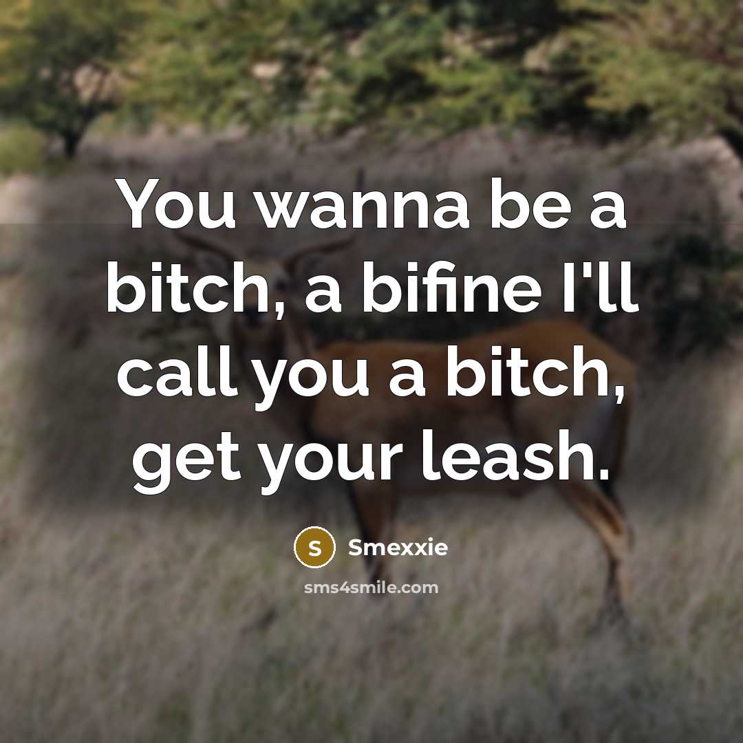 “You wanna be a bitch, a bifine I'll call you a bitch, get your leash.” quote by Smexxie