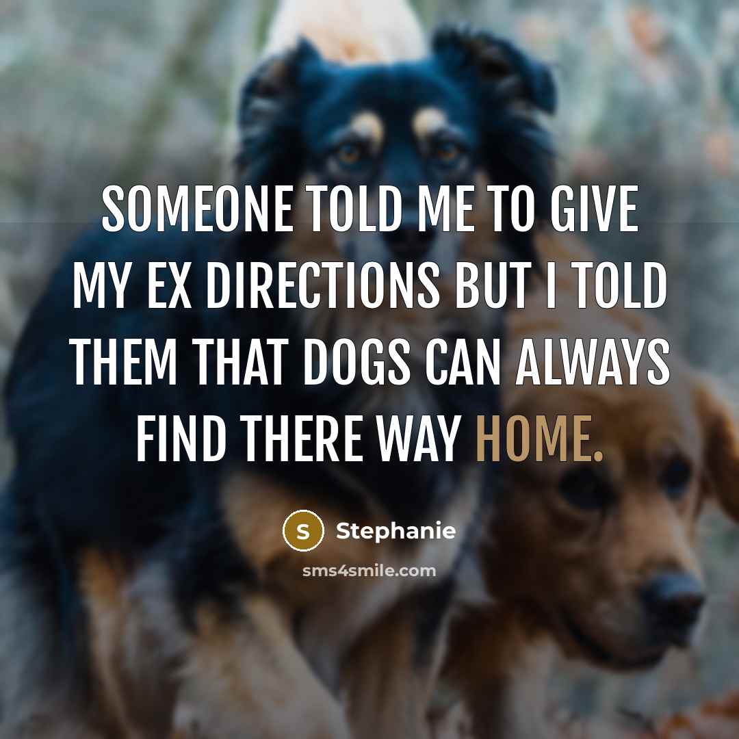 “Someone told me to give my ex directions but I…” quote by Stephanie