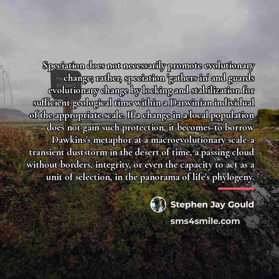 “Speciation does not necessarily promote evolutionary change; rather, speciation 'gathers…” quote by Stephen Jay Gould