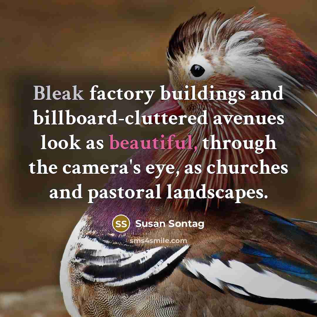 “Bleak factory buildings and billboard-cluttered avenues look as beautiful, through…” quote by Susan Sontag