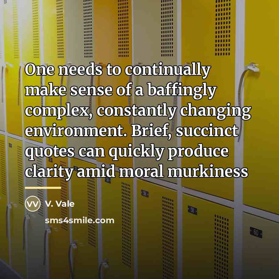 “One needs to continually make sense of a baffingly complex,…” quote by V. Vale