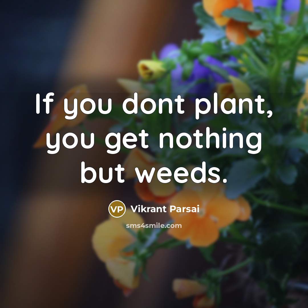“If you dont plant, you get nothing but weeds.” quote by Vikrant Parsai