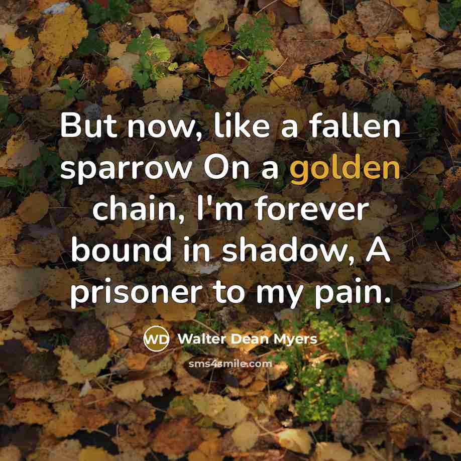 “But now, like a fallen sparrow On a golden chain,…” quote by Walter Dean Myers