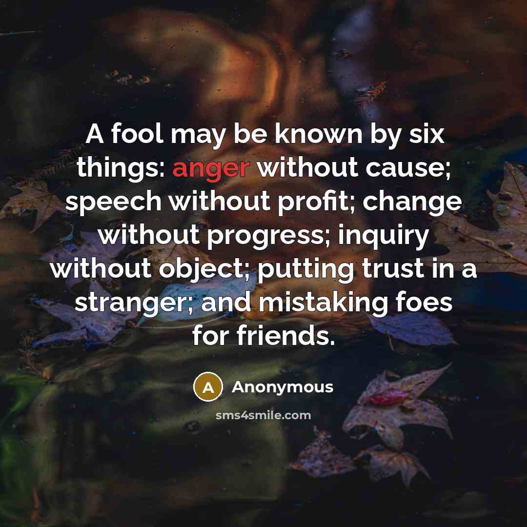 “A fool may be known by six things: anger without cause; speech without profit; change without progress; inquiry without object; putting trust in a stranger; and mistaking foes for friends.” quote by Anonymous