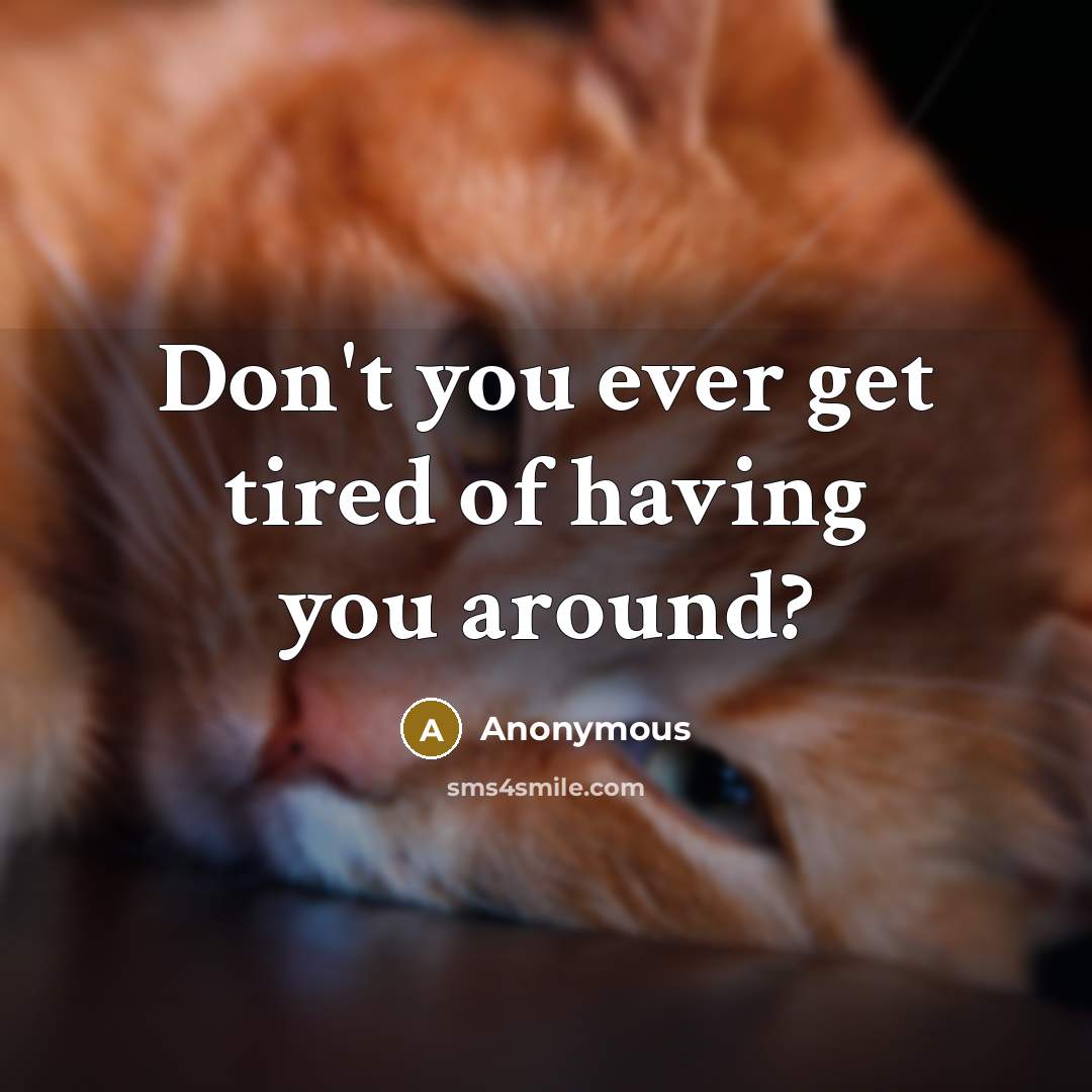 “Don't you ever get tired of having you around?…” quote by Anonymous