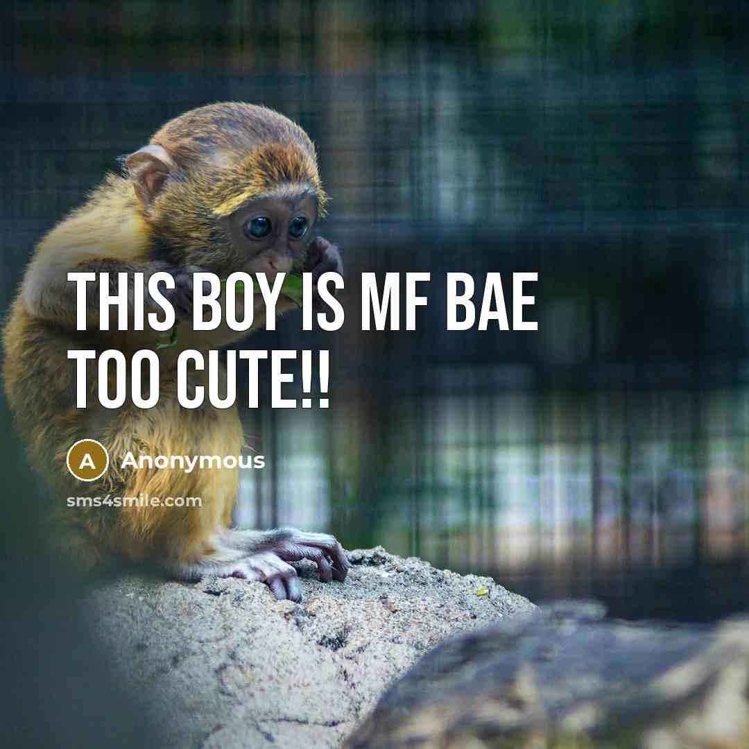 “This boy is mf bae too cute!!” quote by Anonymous