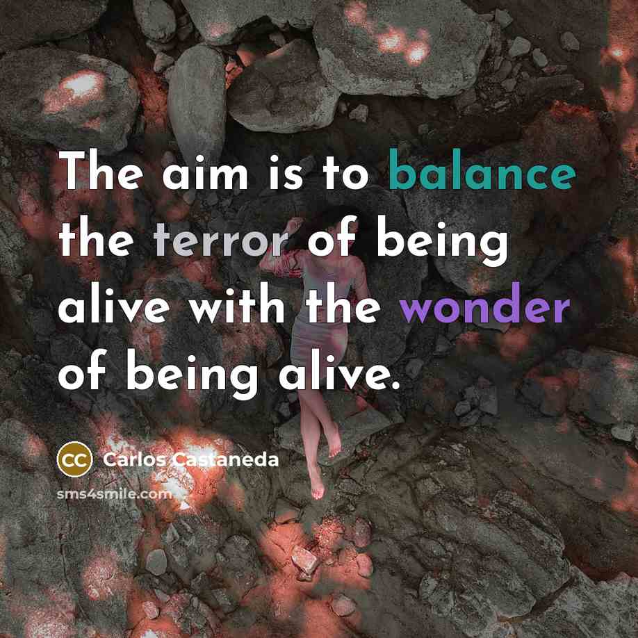 “The aim is to balance the terror of being alive…” quote by Carlos Castaneda