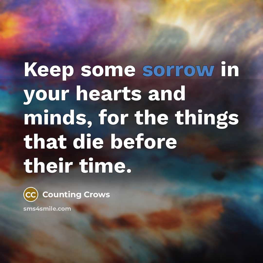 “Keep some sorrow in your hearts and minds, for the…” quote by Counting Crows