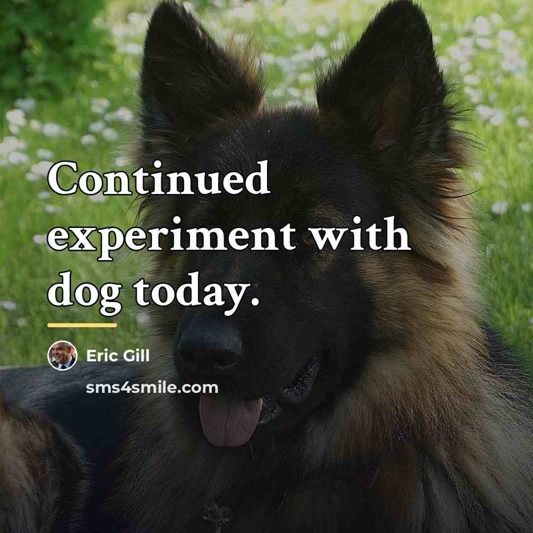 “Continued experiment with dog today.…” quote by Eric Gill