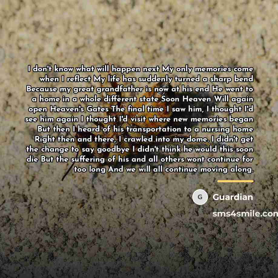 “I don't know what will happen next My only memories…” quote by Guardian