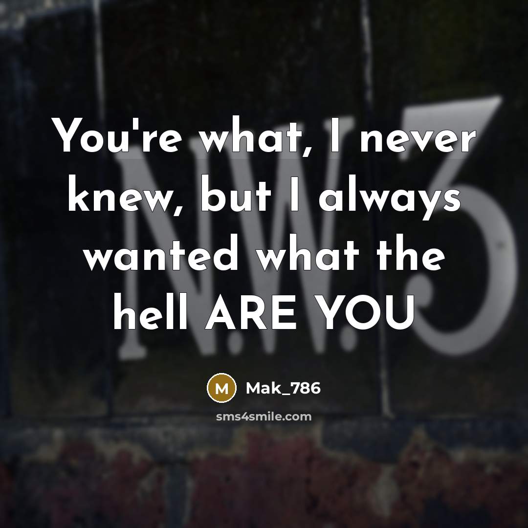 “You're what, I never knew, but I always wanted what…” quote by Mak_786