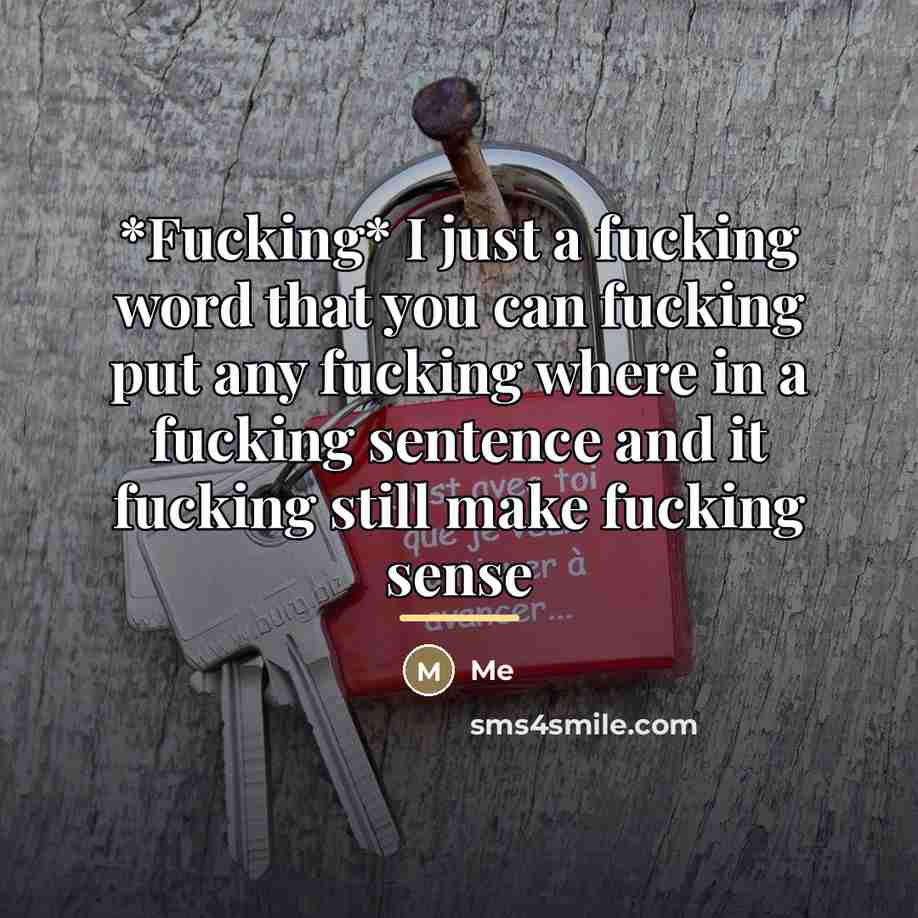 “*Fucking* I just a fucking word that you can fucking…” quote by Me
