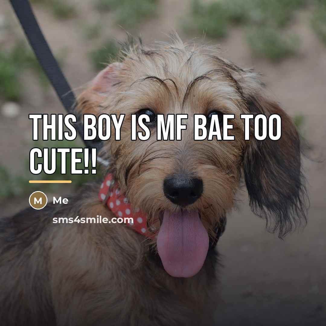 “This boy is mf bae too cute!!…” quote by Me